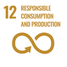 12 Responsible Consumption and Production