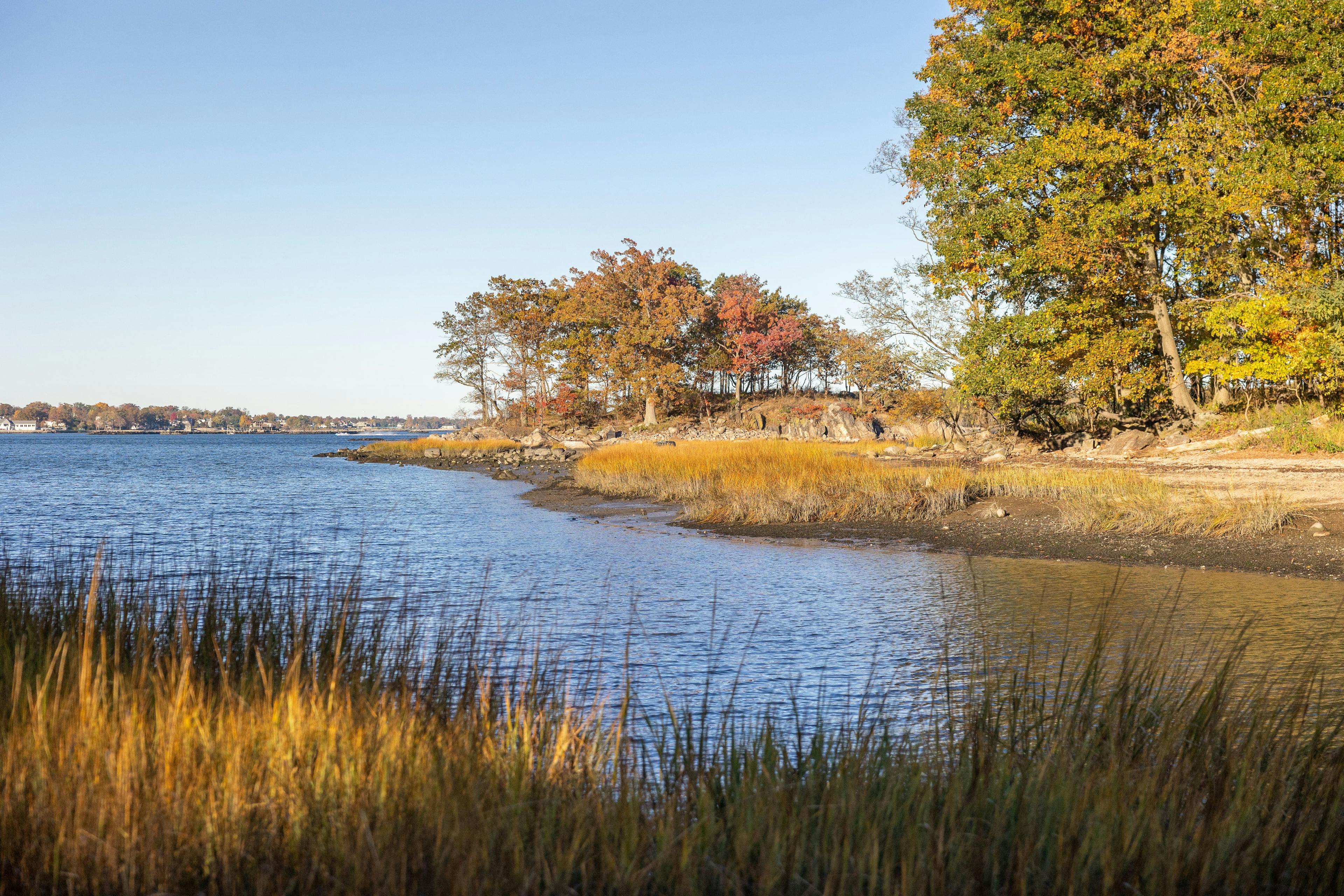 An image of Wetland Conservation New York